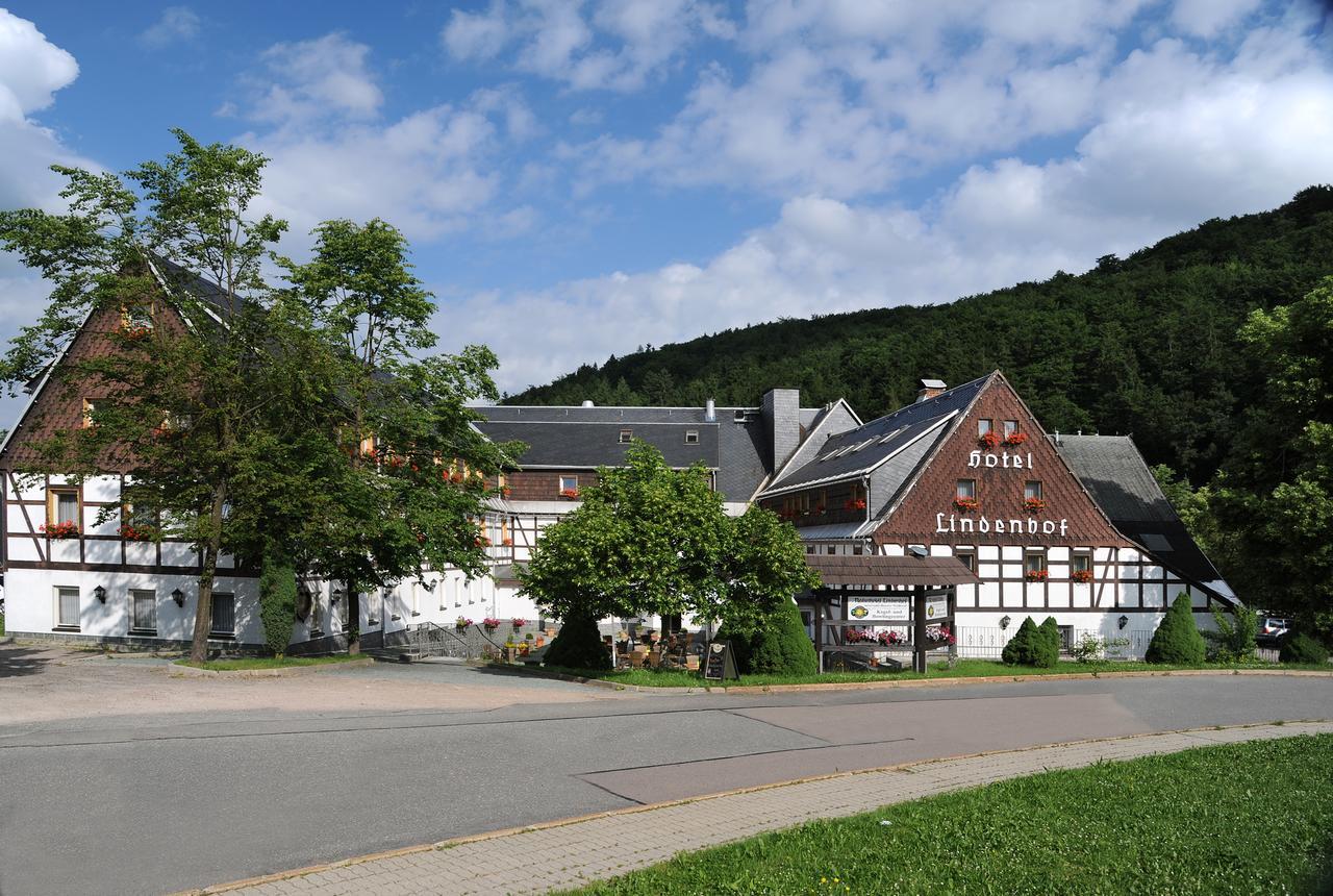 Naturhotel Lindenhof Rechenberg-Bienenmühle Exteriér fotografie