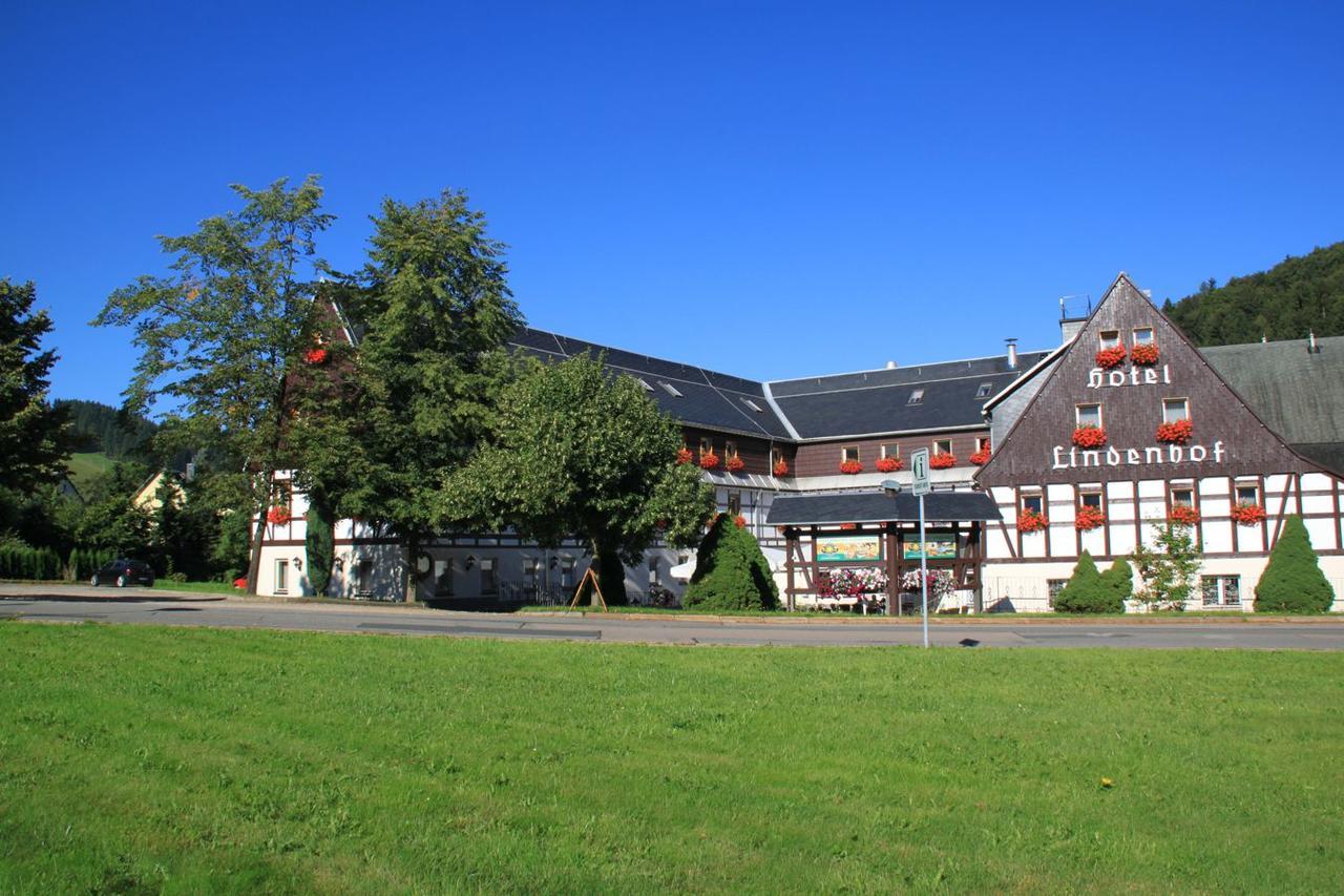 Naturhotel Lindenhof Rechenberg-Bienenmühle Exteriér fotografie